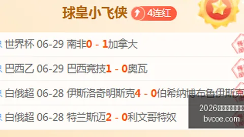 2026世界杯买球指南 103757 3